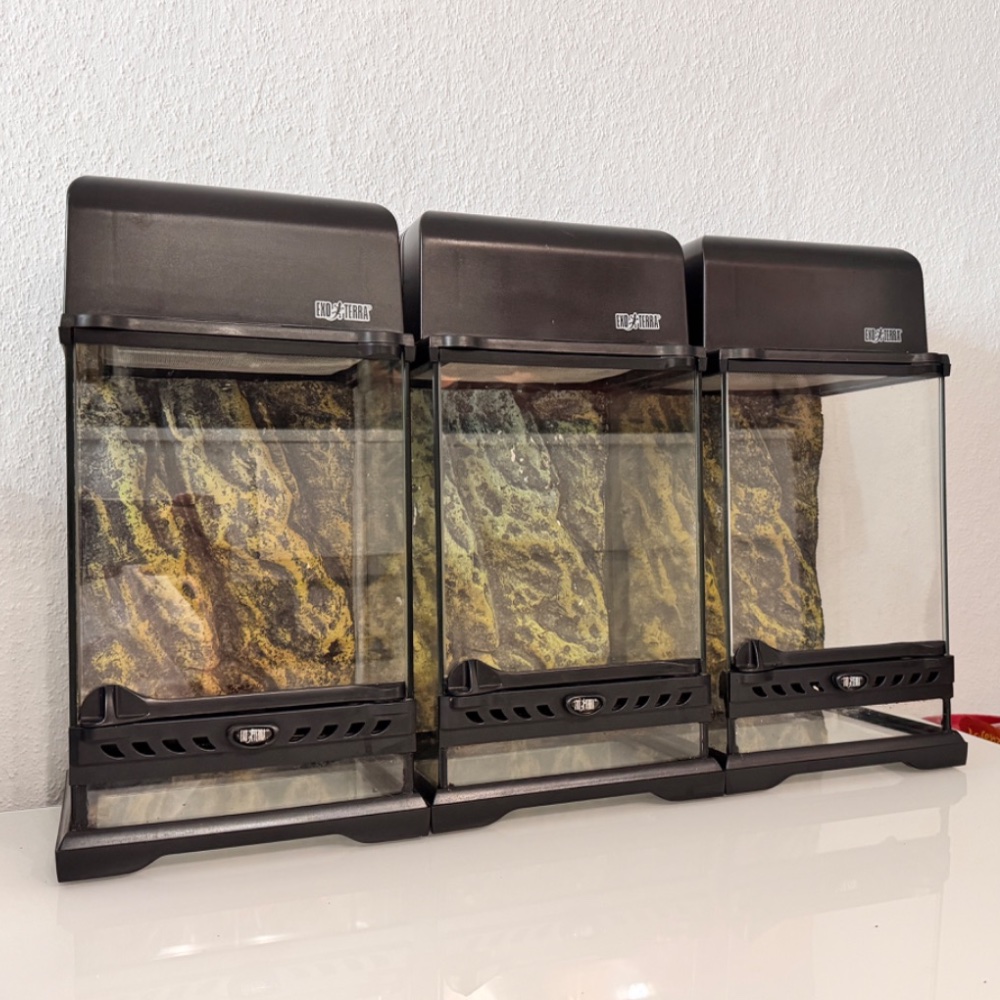Terrarien – 3x Exoterra 20x20x30