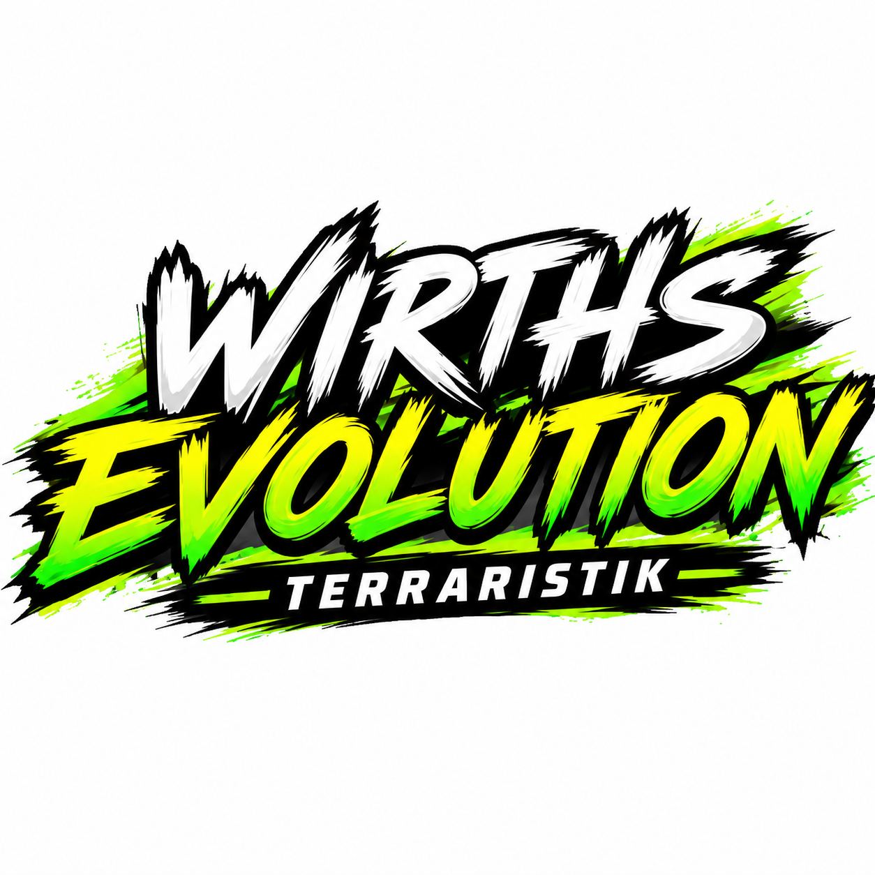 Königspython (Python regius) – Suche 1.0 RECO / RECO het Pied – Königspython